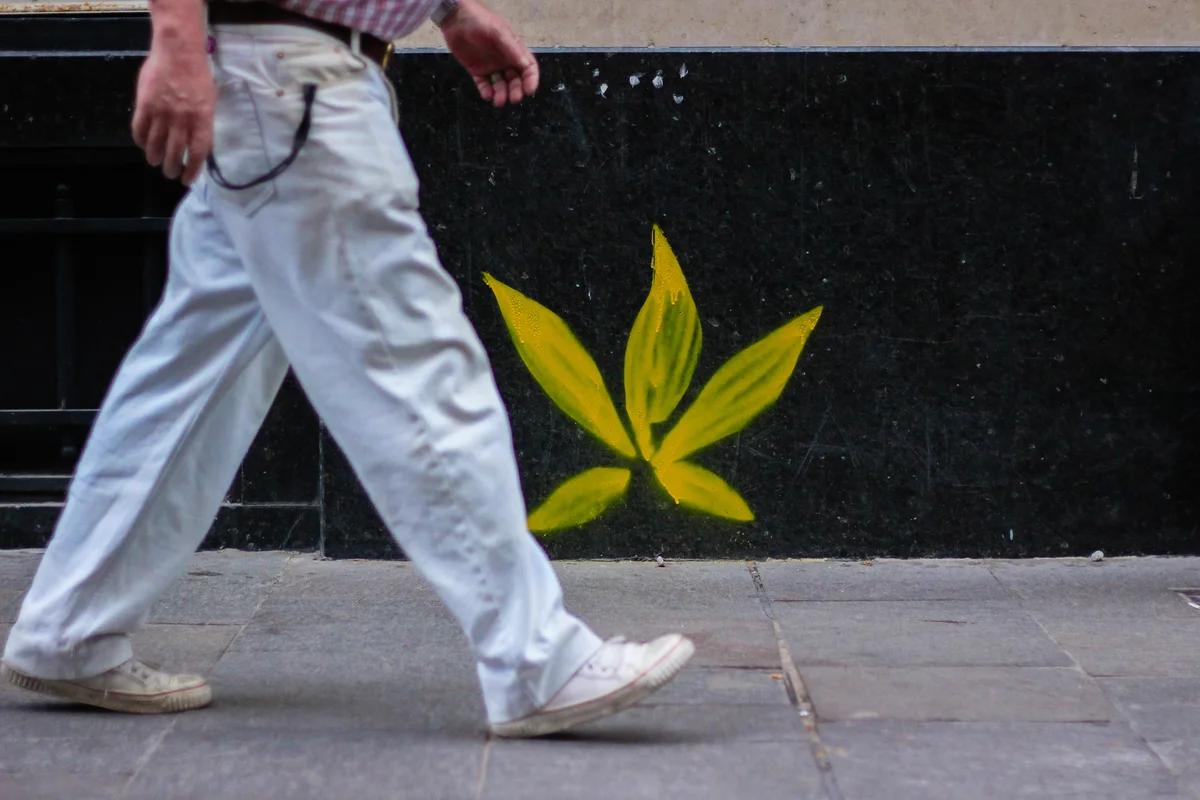 Cannabis Anbauverein Regeln: Was das CanG erlaubt & verbietet
