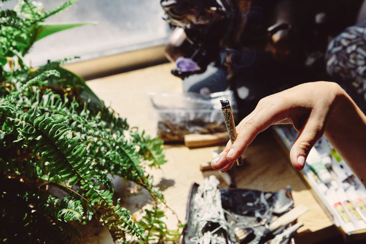 Hash Bash Ann Arbor: Messe, Aussteller, Adresse, Preise & Tickets
