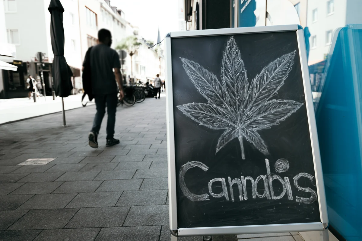 Cannabis Anbauverein nach Bundesland: Bayern, NRW & Berlin im Vergleich